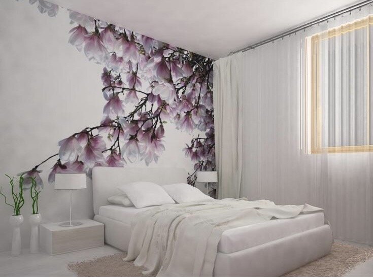 Drumul Taberei Favorit